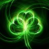 NoLeafClover